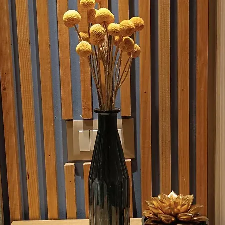 Appartement Filoxenia Luxury *